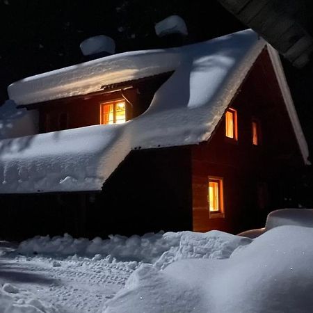 Digital Detox Chalet Pokljuka Goreljek Extérieur photo