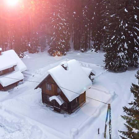 Digital Detox Chalet Pokljuka Goreljek Extérieur photo