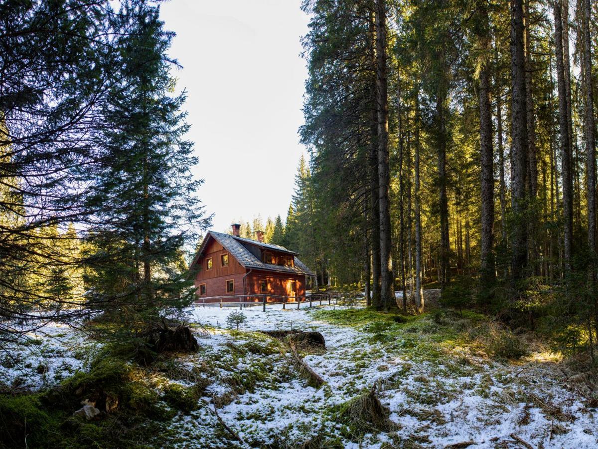Digital Detox Chalet Pokljuka Goreljek Extérieur photo