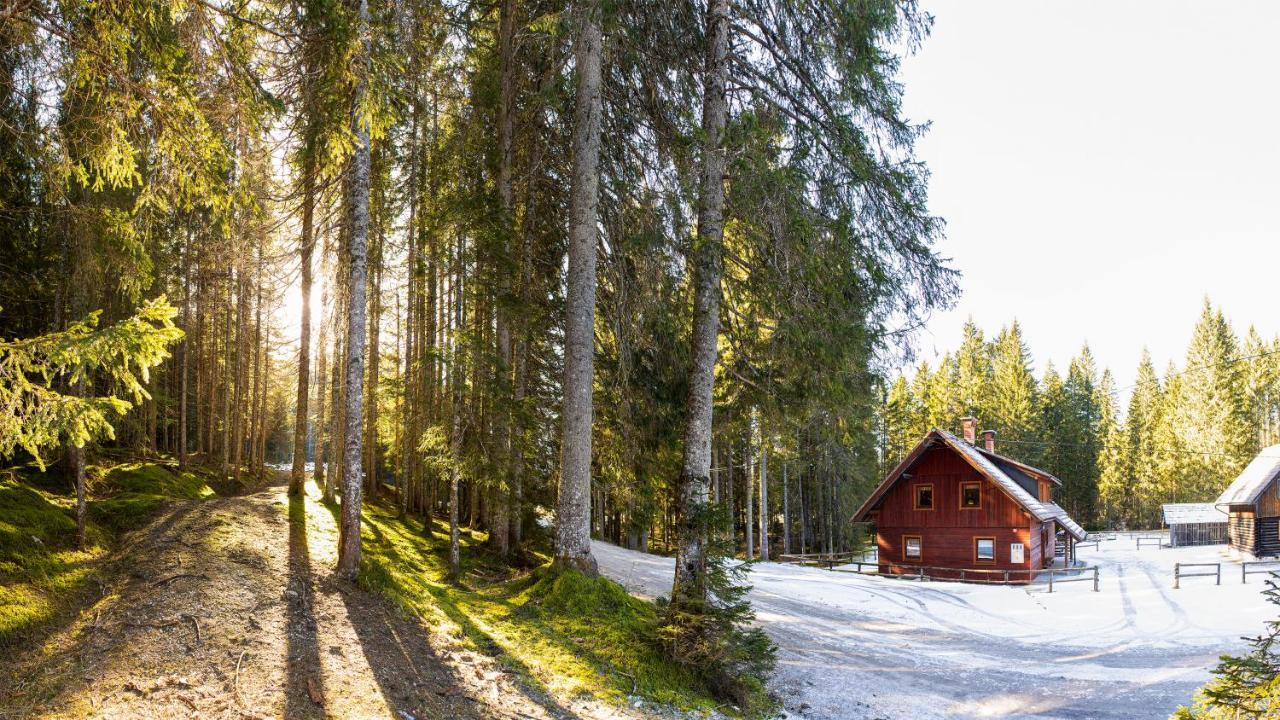 Digital Detox Chalet Pokljuka Goreljek Extérieur photo
