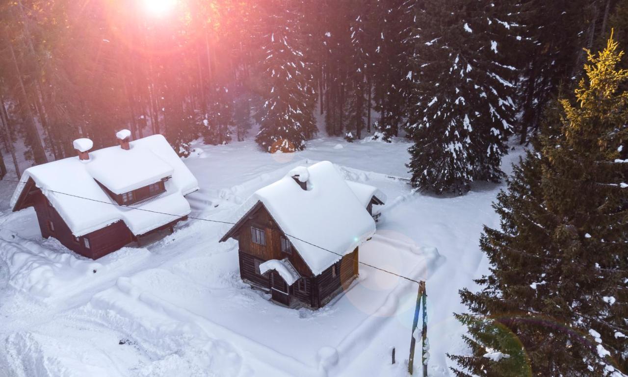 Digital Detox Chalet Pokljuka Goreljek Extérieur photo